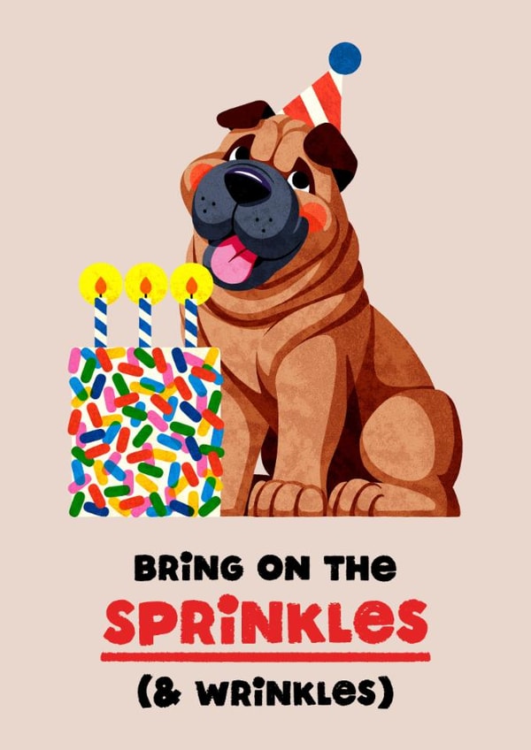 Cheeky Birthday Card - Bring On The Sprinkles - And Wrinkles created by Folio | Ian Owen
