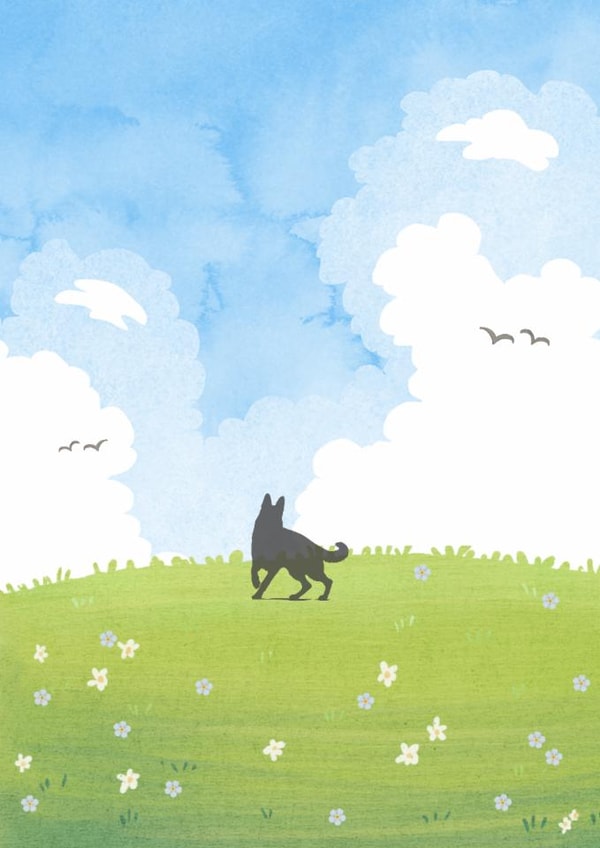 Dog bereavement sympathy card - pet loss condolence created by The Pawsitive Pet Nurse