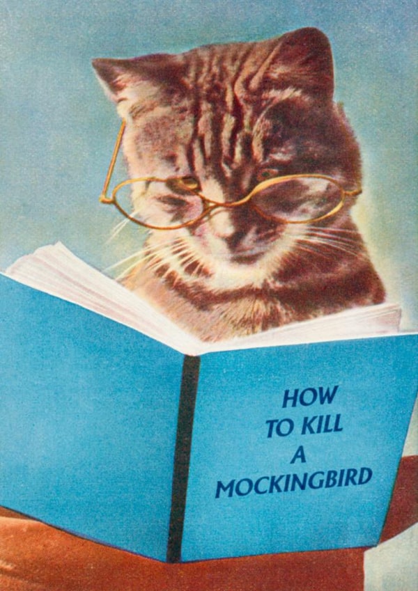 Funny Friendship Card - Just Because - Cat Reading A Book - How To Kill a Mockingbird literature created by kissmekwik