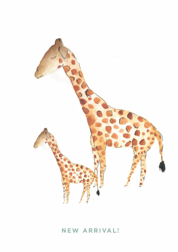 Cute New Baby Card - Giraffes - New Arrival created by Fiona Fawcett