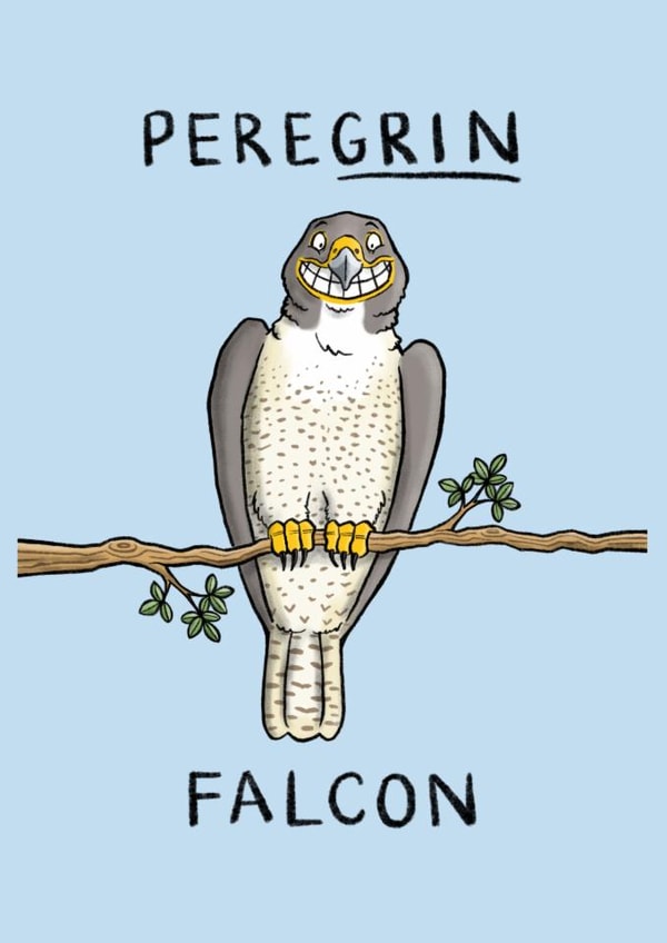 Punny Just Because Card - Peregrin Falcon - Pun created by Carl Batterbee