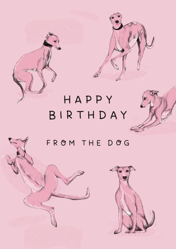 Cute Birthday Card  - Whippet created by Ellen Jane LDN