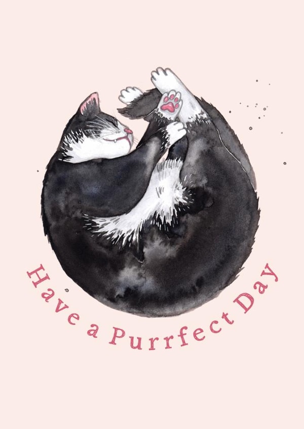 Cute Birthday Card - Sleepy Tuxedo Cat created by Amy Holliday