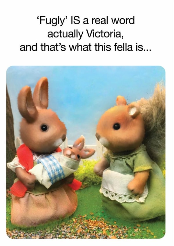 Cute Birthday Card - Fugly created by Brainbox Candy