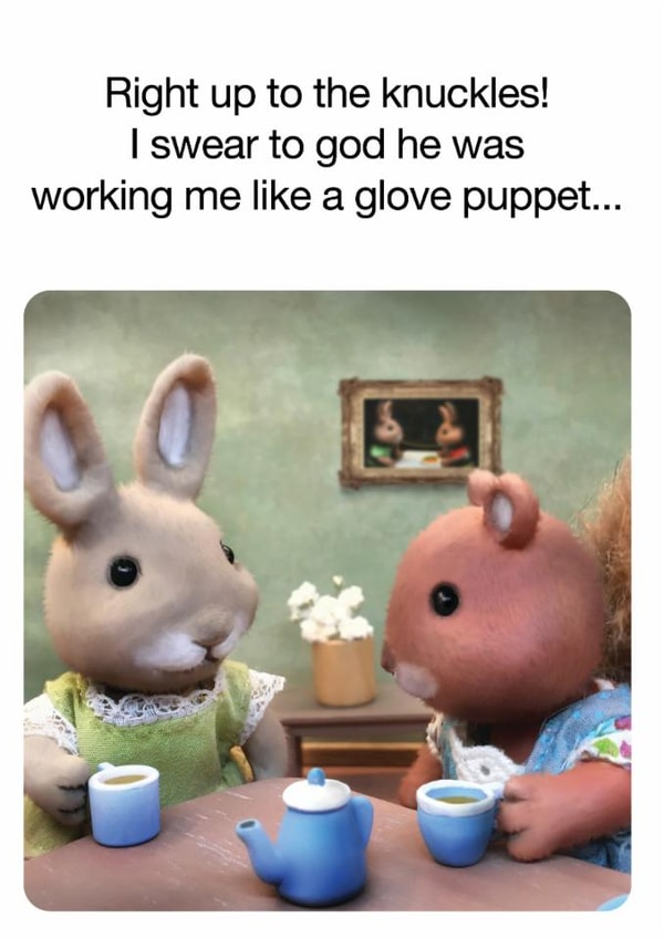 Rude Birthday Card - Glove Puppet created by Brainbox Candy