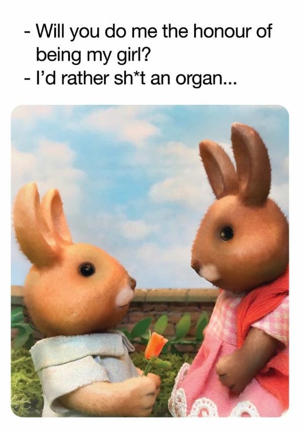 Cheeky Birthday/Anniversary Card - Rabbits - I'd Rather Sh*t An Organ created by Brainbox Candy