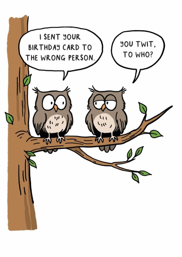 Funny Birthday Card - Owl Joke - Humour - Pun created by Paperlink and Meraki Greeting Cards