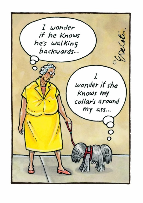 Funny Birthday Card - Dog Joke - Collar's Around My Ass created by Paperlink and Meraki Greeting Cards