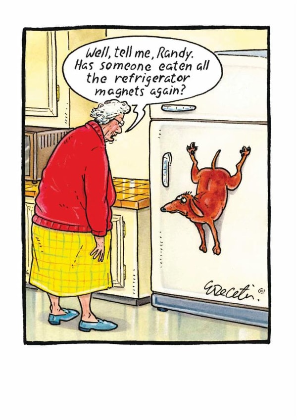 Funny Birthday Card - Dog Joke - Fridge Magnet created by Paperlink and Meraki Greeting Cards