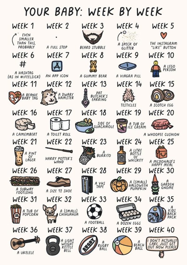 Funny Pregnancy Card - Newly Pregnant - Your Baby: Week by Week created by Sarah Harding