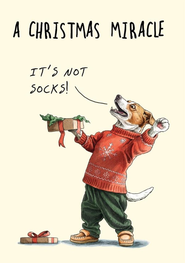 Funny Christmas Card - A Christmas Miracle - It's Not Socks! - Dog created by Bewilderbeest