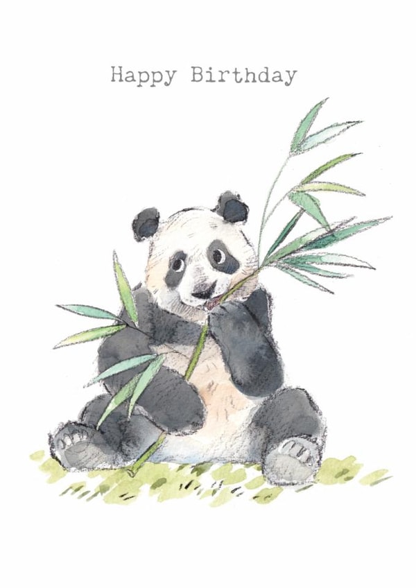 Cute Birthday Card - Panda - Bamboo created by Paper Shed Design