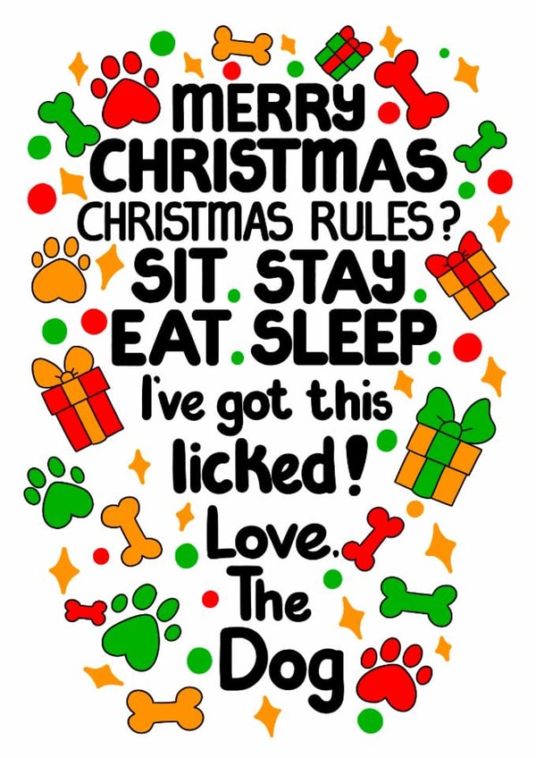 Funny Dog Christmas Card From the Dog for Puppy Dog Parents created by Louise Burgoyne