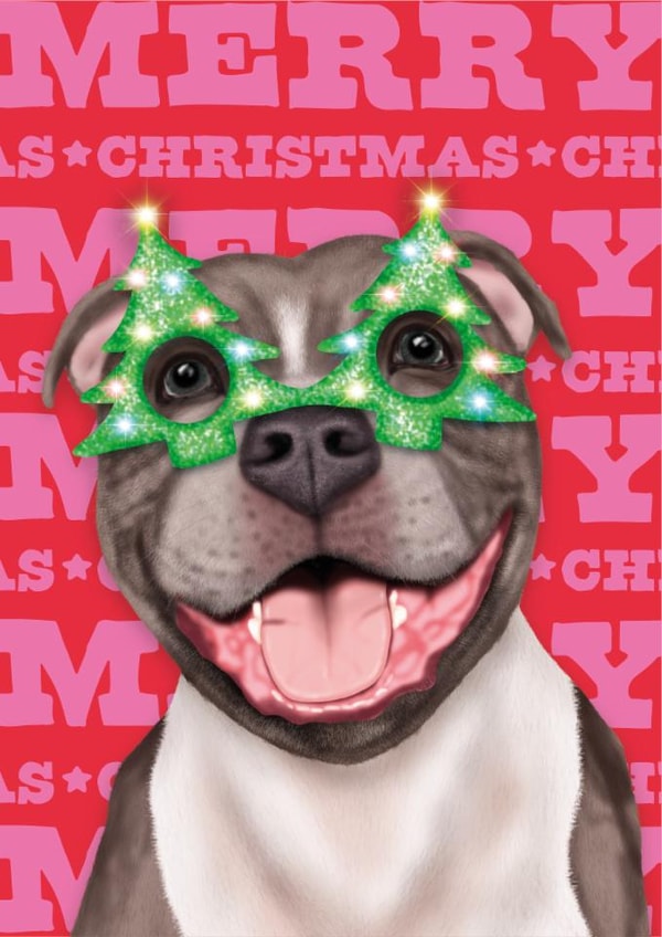 Cute Christmas Card - Staffordshire Bull Terrier - Dog created by badgerbee design