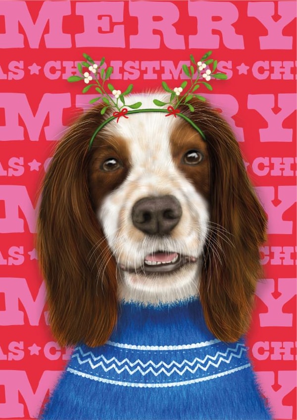 Cute Christmas Card - Springer Spaniel - Dog created by badgerbee design