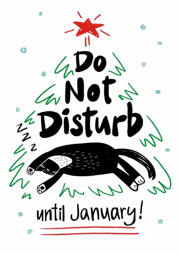 Cute Christmas Card - Do Not Disturb Until January - Cat created by StudiOllie