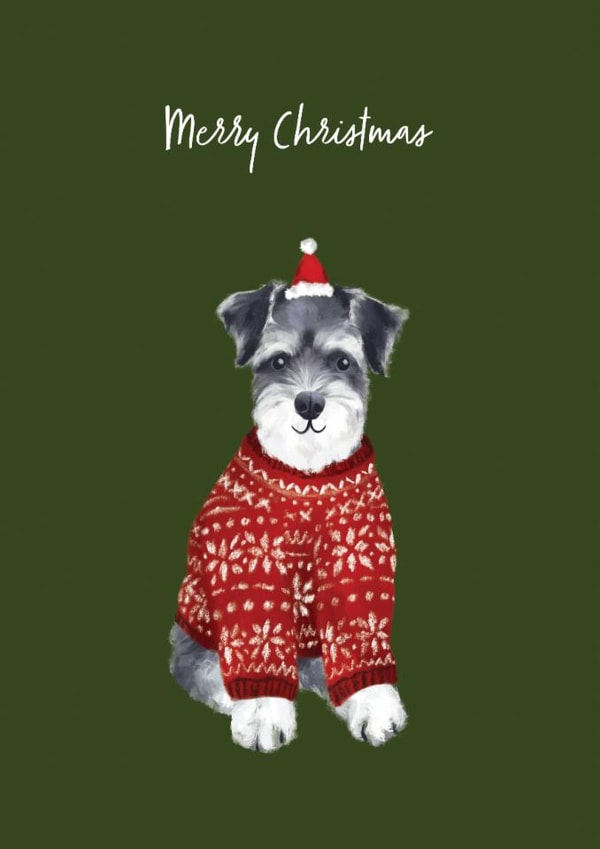 Cute Christmas Card - Schnauzer - Christmas Jumper created by Debbie Daley Illustrations