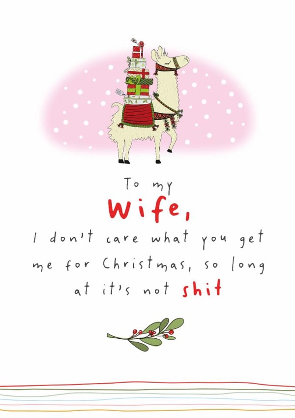 Funny Christmas Card - To My Wife - Shit Present created by Dandelion Stationery