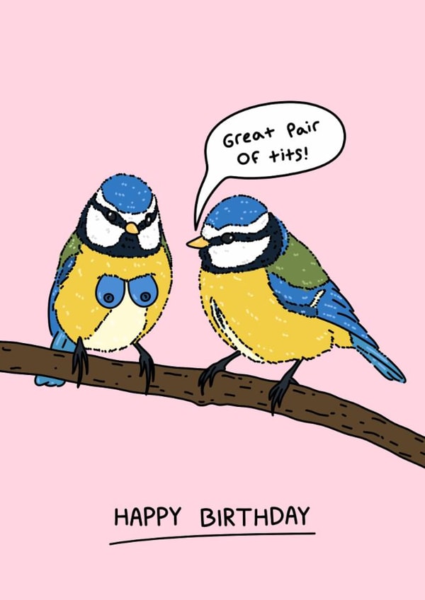 Cheeky Birthday Card - Great Pair Of Tits - Bird Pun created by YAWN DESIGNS