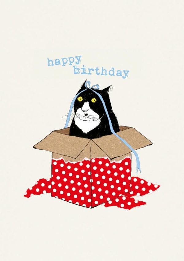 Cute Birthday Card - Cat - Gift Box created by Paper Bird