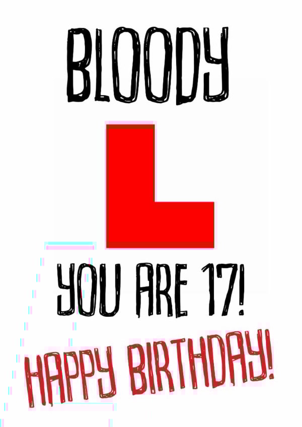 HAPPY 17TH BIRTHDAY LEARNER DRIVER created by Chasing Cards