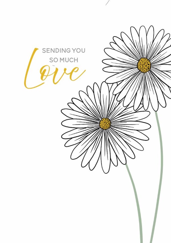 Classic Daisies Thinking of You Card for a Friend created by Lisa Swift Illustration
