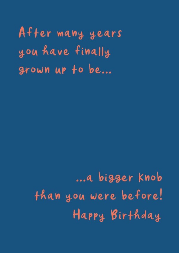 Birthday - funny - cheeky created by The Boy and the Bear