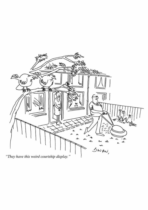 Funny Anniversary Card - Courtship Display - Lawn Mowing created by Punch Limited