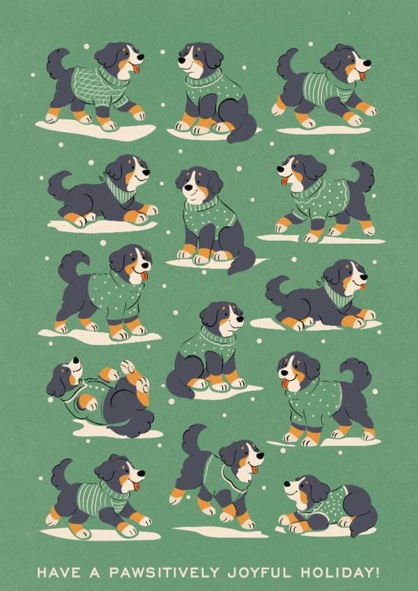 Sweater paws created by Sabrin Deirani