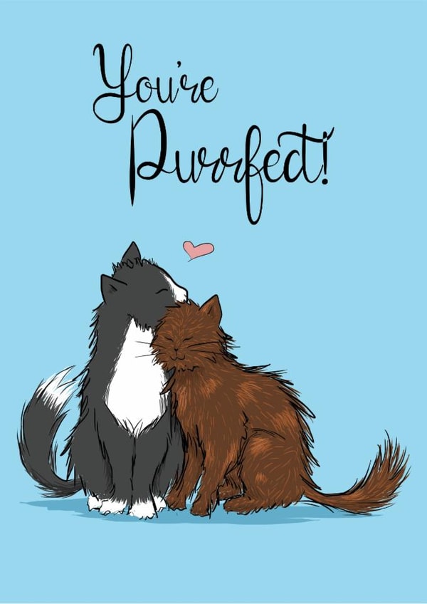 You're Purrfect Valentine's Day Card - Cute Cats Illustrated You're Perfect Card created by Scruffy Cat