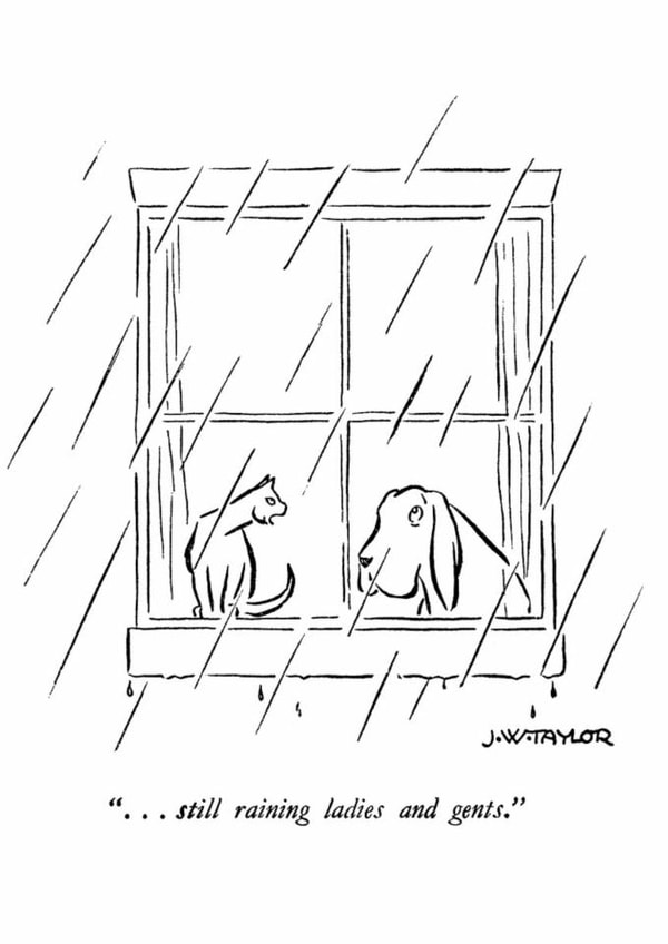 Funny Birthday Card - Still Raining Ladies And Gents created by Punch Limited