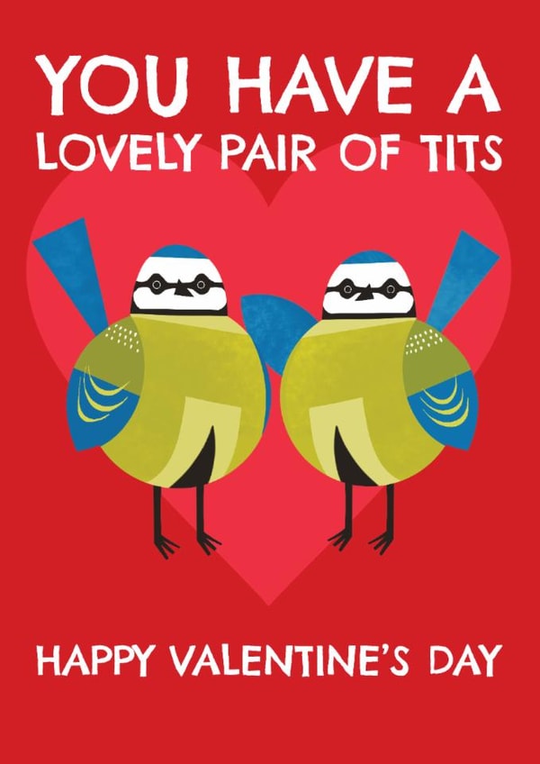 Funny Valentine's Day Card - Lovely Pair Of Tits created by AbiGoLucky