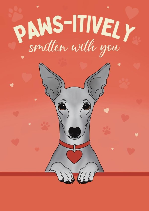 Cute Valentine's Day Card - From The Dog - Italian Greyhound created by Choo Choo 