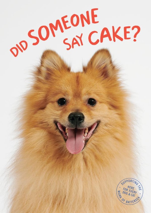 Funny Birthday Card - Did Someone Say Cake? - Battersea Cats & Dogs Home Charity Card created by Cardology