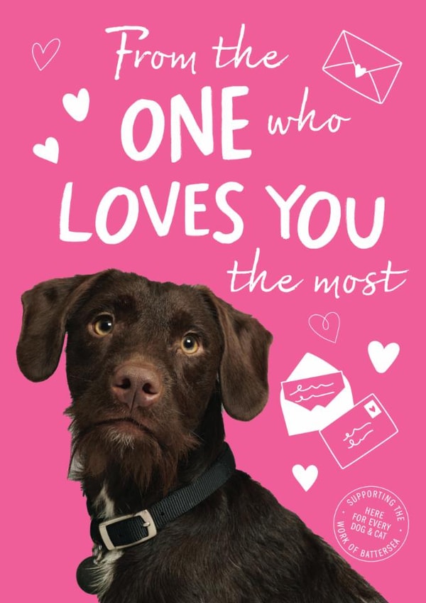 Cute Valentine's Day Card - Loves You The Most - Battersea Dogs And ...