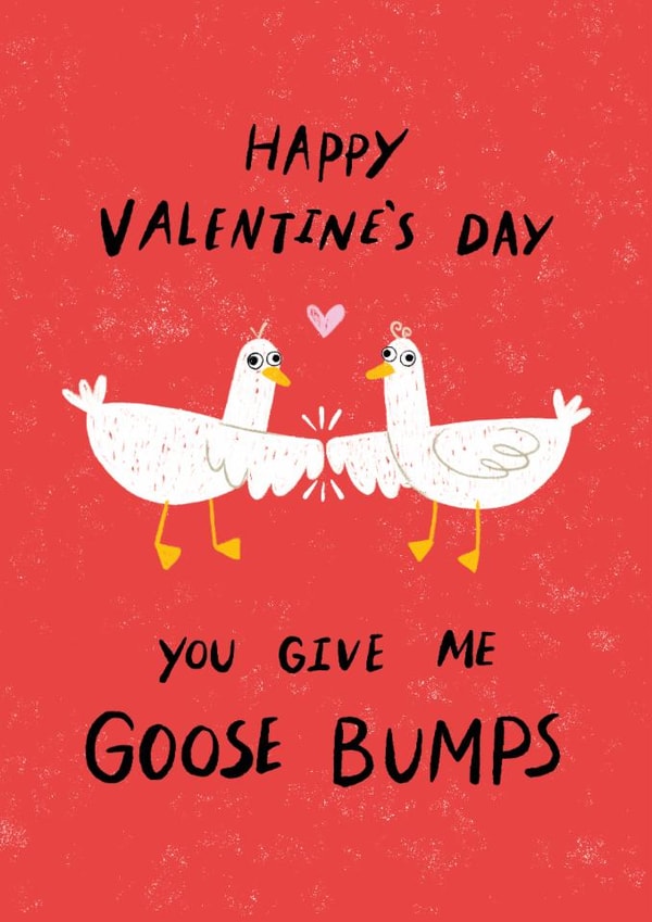 Funny Valentine's Day Card - Goose Bumps created by Dandelion Stationery