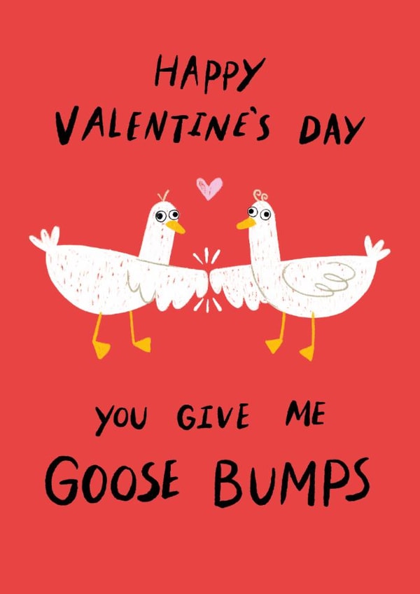 Funny Valentine's Day Card - Goose Bumps created by Dandelion Stationery