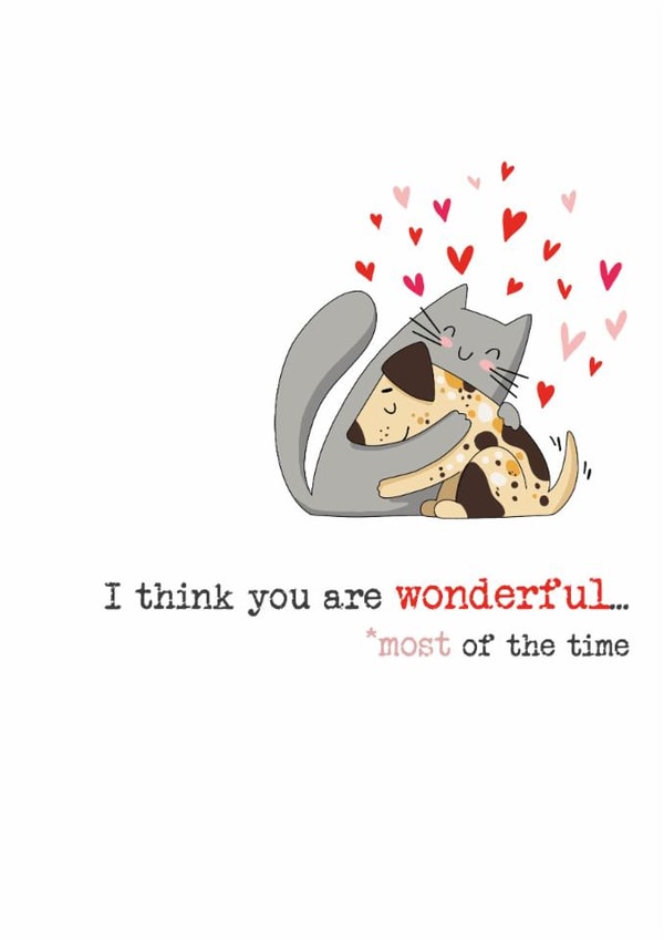 Humorous love-themed card for a partner / significant other - you are wonderful created by Dandelion Stationery