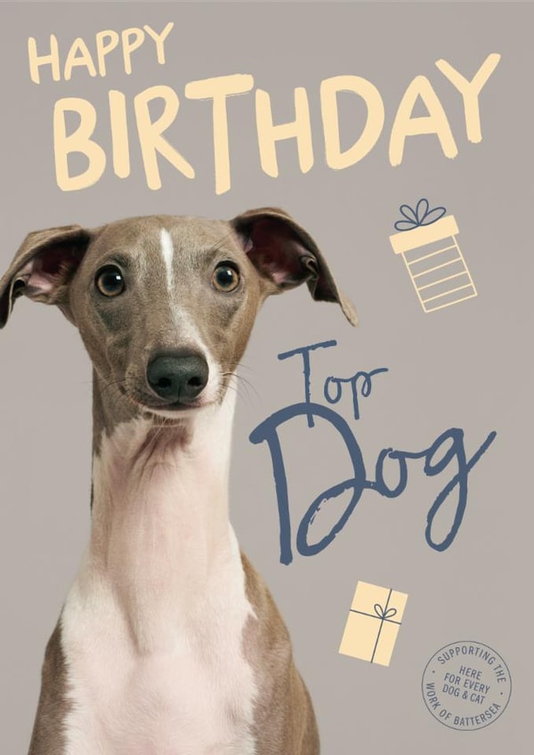Cute Birthday Card - Top Dog - Battersea Charity created by Cardology