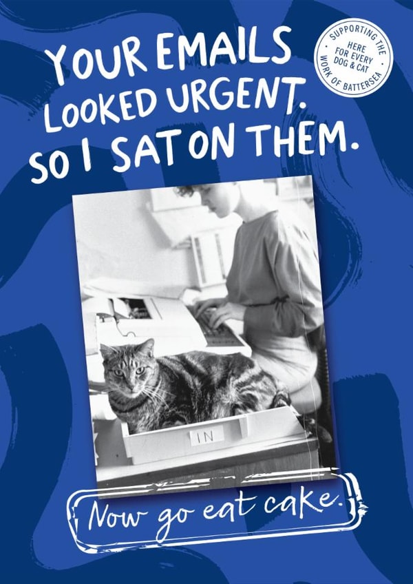 Funny Birthday Card - Cheeky Cat - Urgent Emails - Battersea Heritage History Card created by Cardology