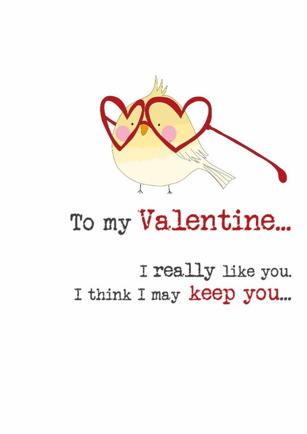 Cute Valentine's card for a partner / significant other - I may keep you created by Dandelion Stationery