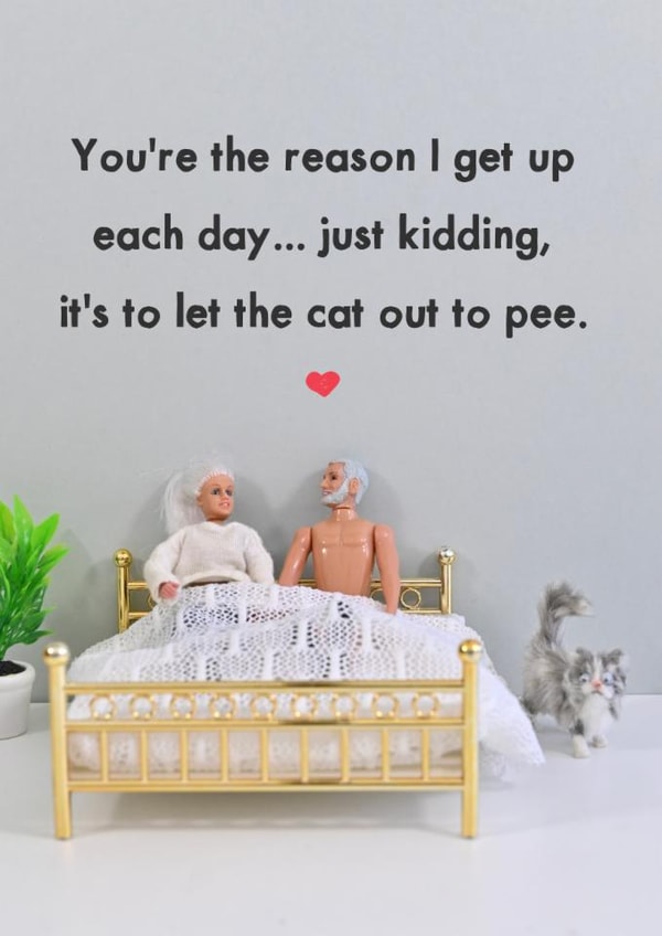 Funny Valentine's Card - Cheeky Cat Parents - Anniversary Card created by Bold & Bright Cards