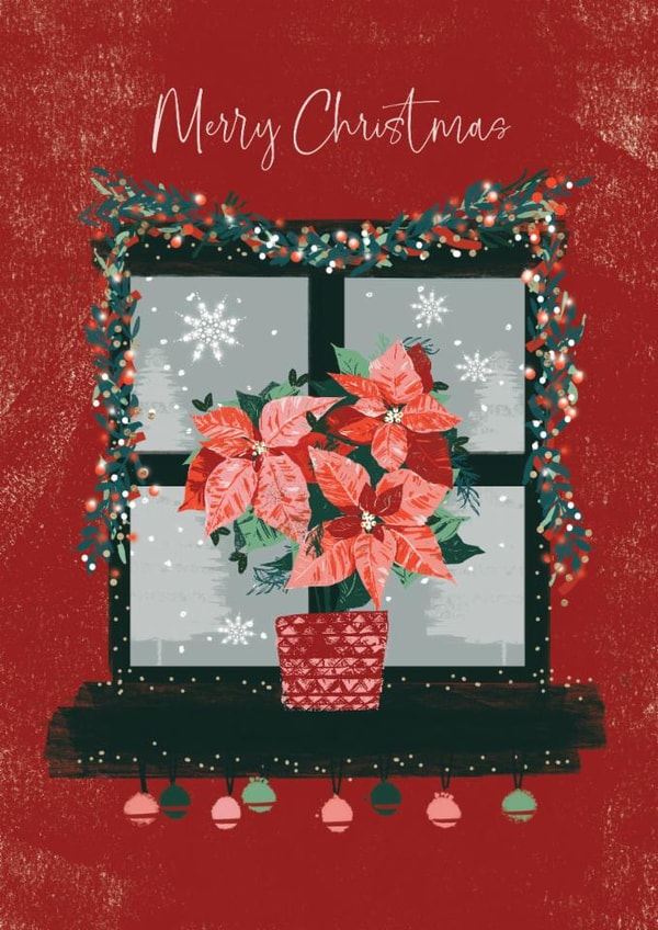 Classic Christmas Card - Poinsettia - Window created by Rebecca Prinn
