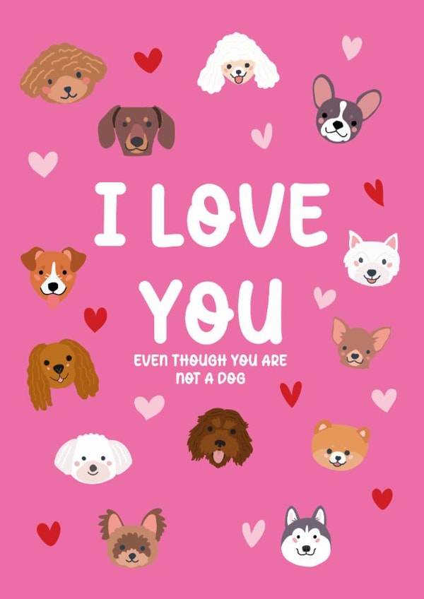 Funny dog valentines card created by Xoxo Designs by Ruth