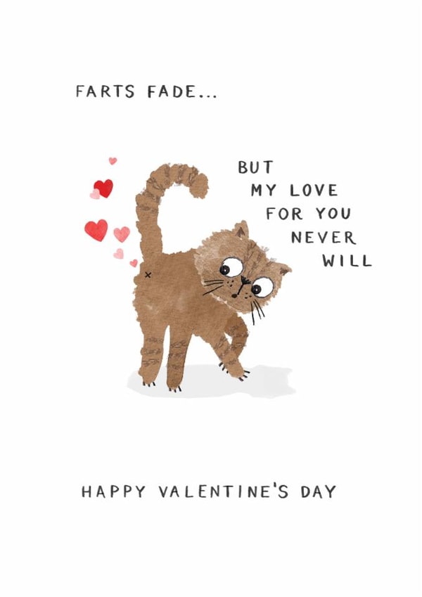 Cute Valentine's Day Card - Farts Fade - Cat - Love For You Never Will created by Making Meadows Ltd