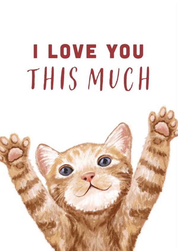 Cute Cat 'I Love You This Much' Valentine's Day/Anniversary Card created by Debbie Daley Illustrations