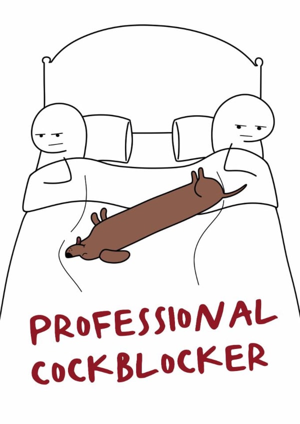 Funny Valentine's Card for Dog Owners - Professional Cockblocker - From the Dog created by Hey Bungalow Designs