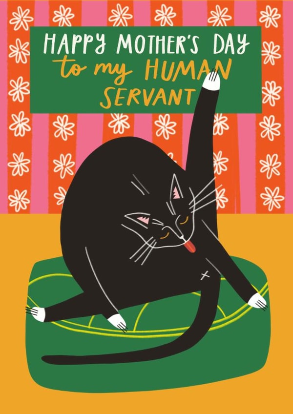 Funny Mother's Day Card | Funny Cat | Licked my bum created by AbiGoLucky