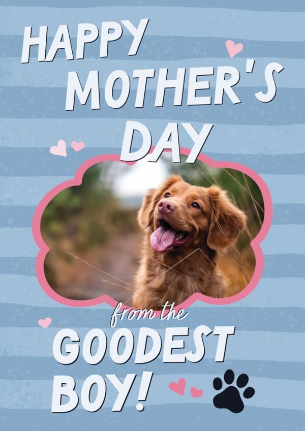 Cute Mother's Day Card - From The Dog - Goodest Boy created by Sweetlove Press