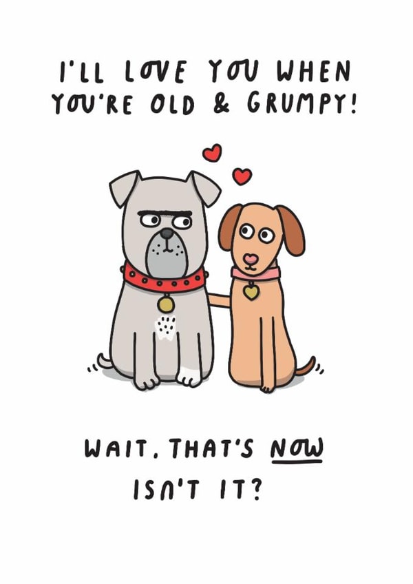 I'll Love You When You're Old And Grumpy. Funny Anniversary or Valentine's Card created by mungo and shoddy